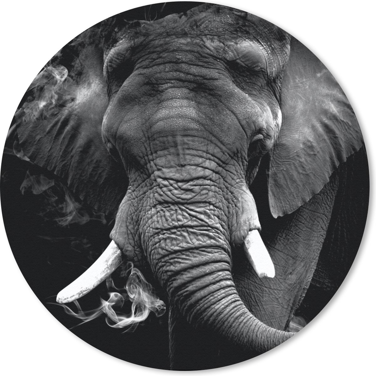 Muismat rond 30x30 cm - Mousepad Olifant - Rook - Tanden - Zwart - Wit - Ronde muismatten