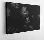 Canvas schilderij -  Productnummer   5135291 - 50*40 Horizontal