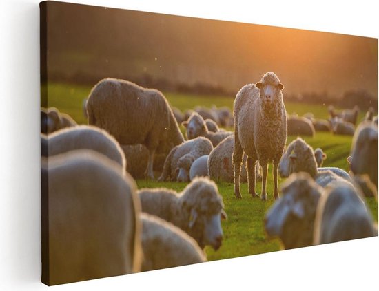 Artaza Canvas Schilderij Kudde Schapen bij Zonsondergang - 40x20 - Klein - Foto Op Canvas - Canvas Print