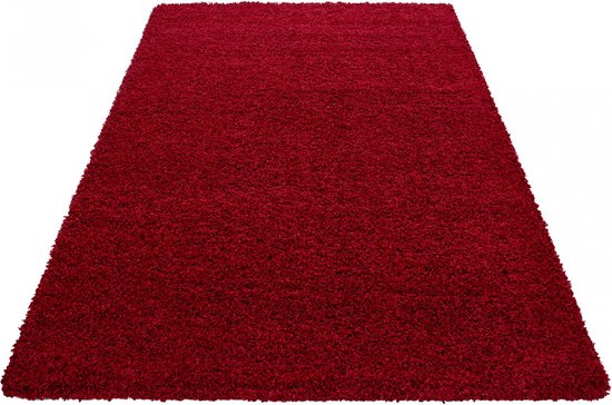 Tapijtenloods Dream Shaggy vloerkleed Rood Hoogpolig- 60x110 CM