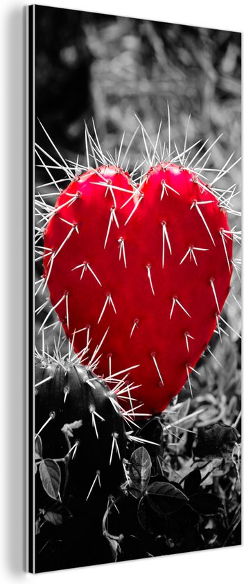Wanddecoratie Metaal - Aluminium Schilderij Industrieel - Zwart-wit foto met een rode hartvormige cactus - 40x80 cm - Dibond - Foto op aluminium - Industriële muurdecoratie - Voor de woonkamer/slaapkamer