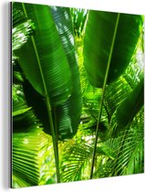 Wanddecoratie Metaal - Aluminium Schilderij Industrieel - Tropische bladeren in jungle fotoprint - 20x20 cm - Dibond - Foto op aluminium - Industriële muurdecoratie - Voor de woonkamer/slaapkamer