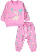 Sweater & broek baby/peuter meisjes - Dino princess Babykleding