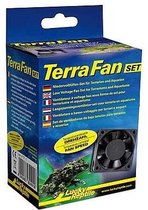 Lucky Reptile Terra Fan - Set