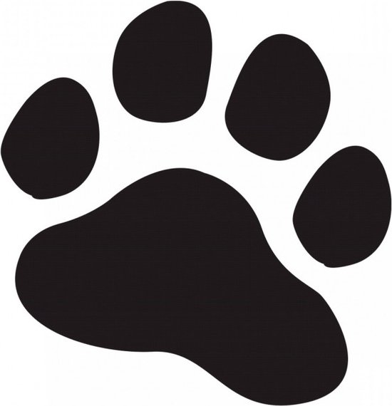 20 Autocollants Antidérapants Pour Douche En Forme De Patte De Chien - Adhésif Pour Sol Glissant - 7