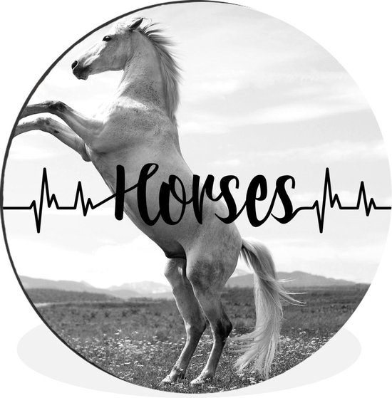 Cercle Mural Aluminium Citation Paarden Chevaux Avec Un Cheval Blanc Qui Se Bol Com