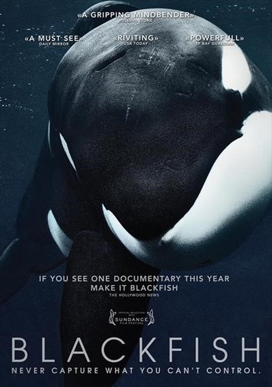 Blackfish (DVD)