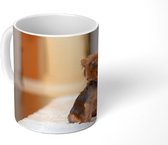 Mok - Een Yorkshire Terrier zit op een kleedje - 350 ML - Beker