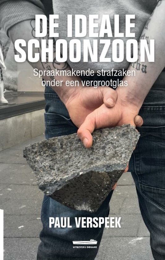 De Ideale Schoonzoon - cover
