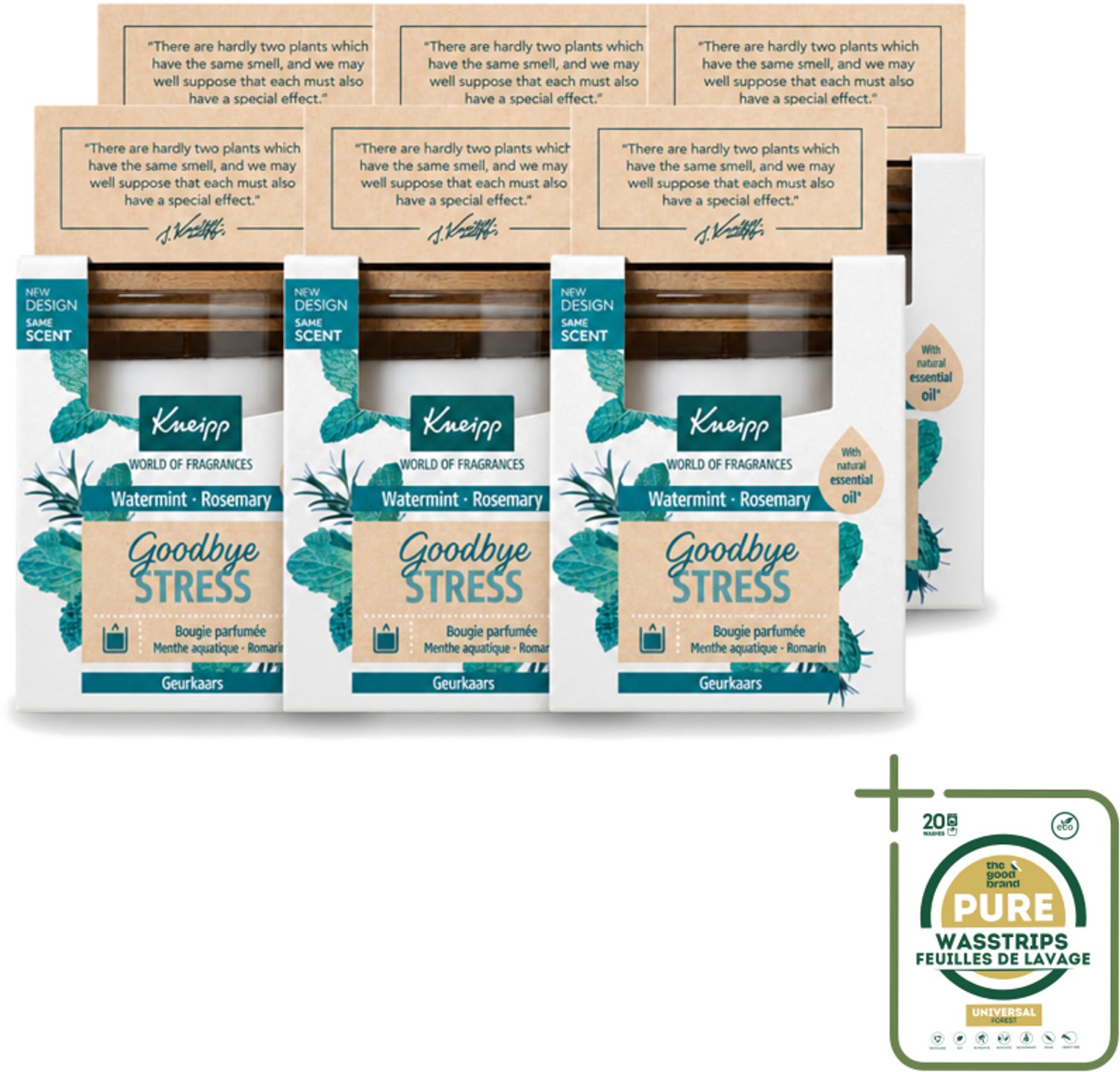 6 x Kneipp - Geurkaars - Goodbye Stress - Watermunt & Rozemarijn - 20 branduren - Wasstrips - Geurkaars - Ontspanning - Stressverlichting - Watermunt - Rozemarijn
