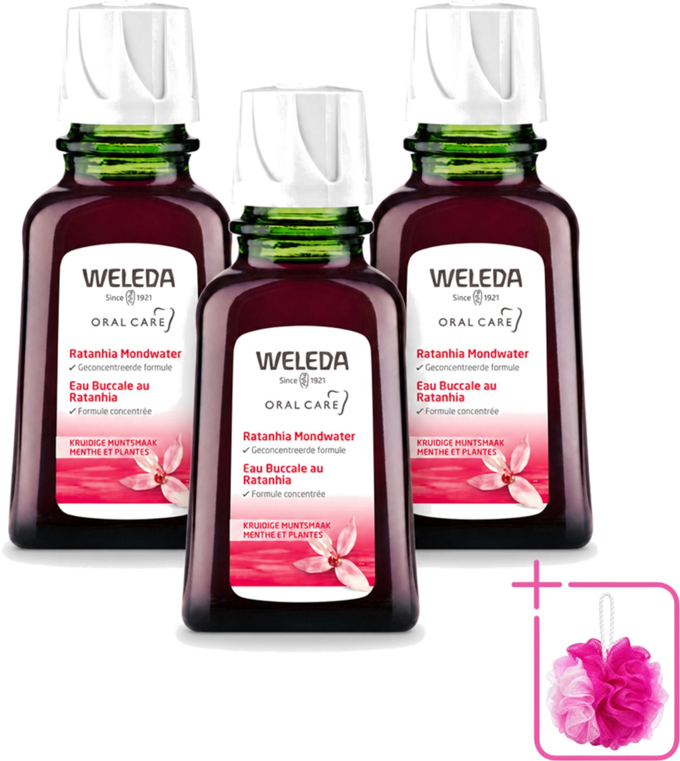 3 x WELEDA - Mondwater geconcentreerd - Ratanhia - 50 ml - Bulkverpakking - Mondwater - Douchemop - Tandvlees verzorging