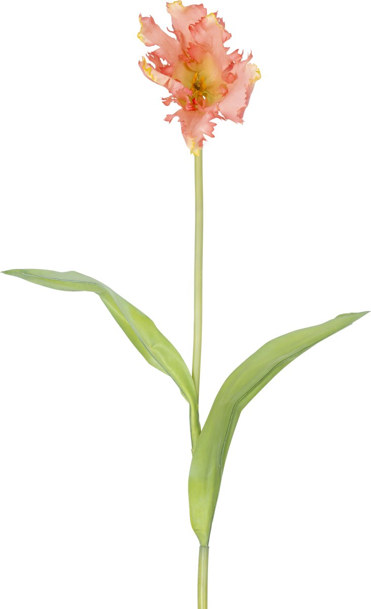 Easyplants | Kunstbloem Franse Parkiet Tulp 76 cm koraal | Zijde | Nepbloemen | koraal | Onderhoudsvrij | Kant-en-klaar