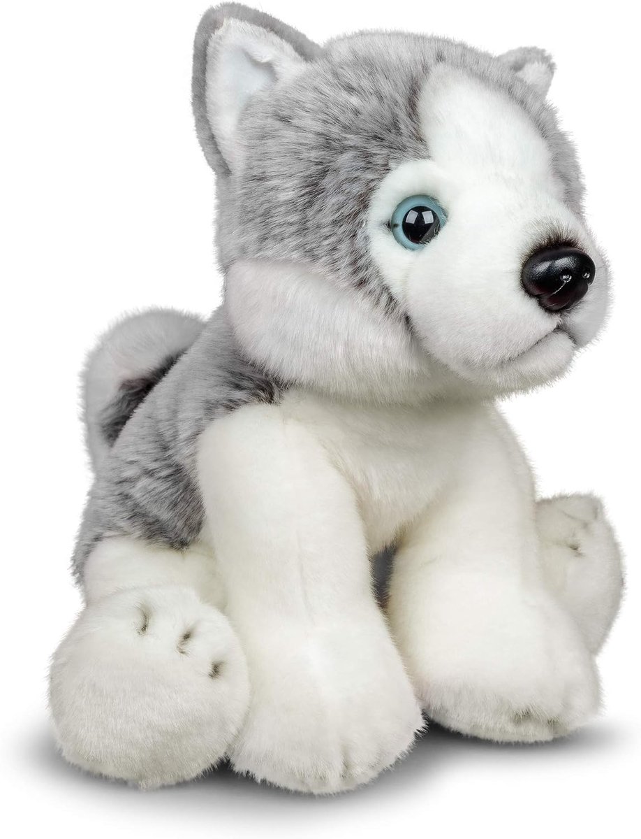 Knuffeldier Husky, knuffeldier in realistisch design, knuffelzacht, ca. 23 cm groot