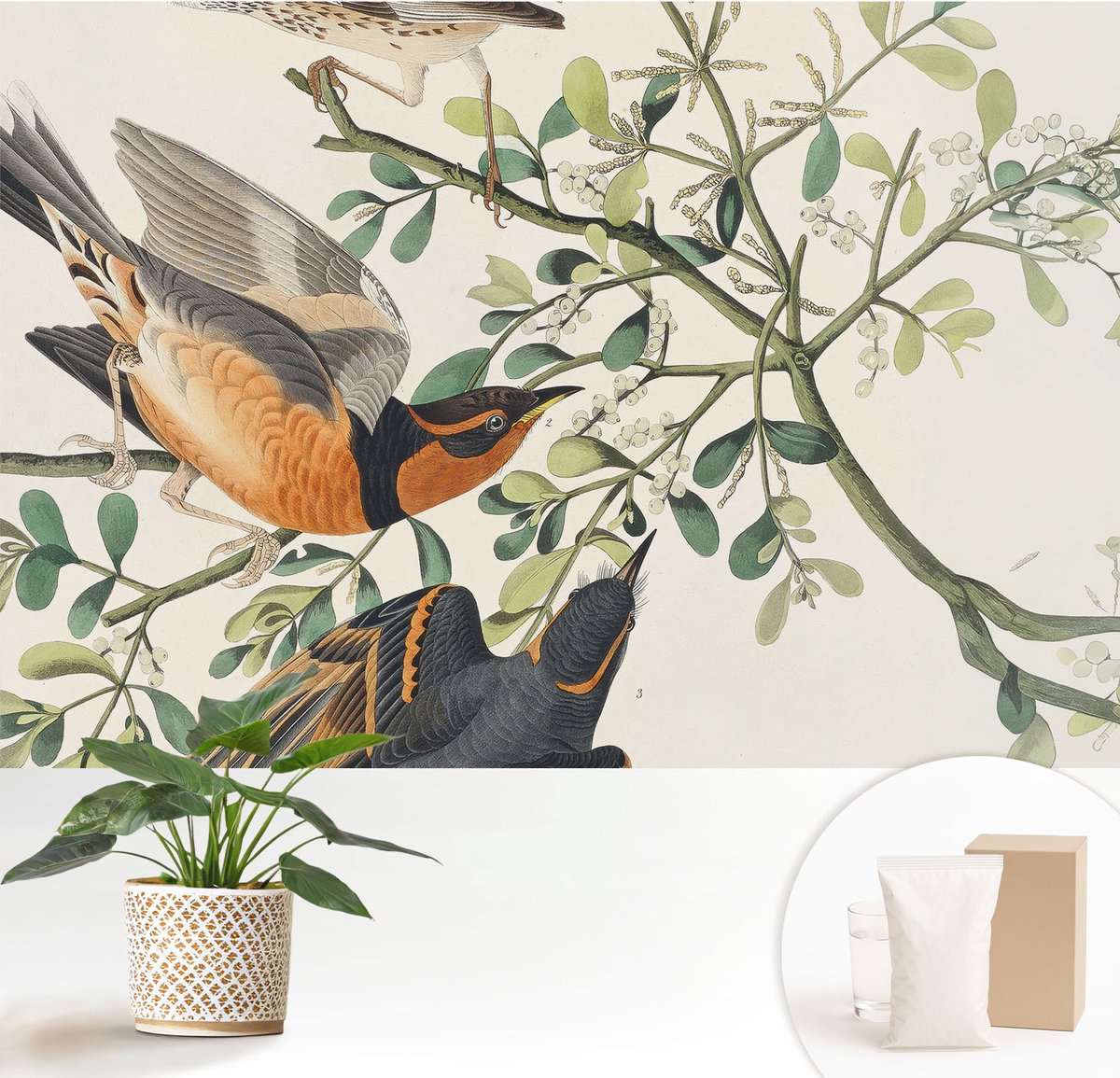 Wallfluent Fotobehang - Wit Vliesbehang - 152x104 cm - Kleurrijke Vogels Muurschildering - Slaapkamer behang Dieren - Fotobehang Vlies - Slaapkamer behang