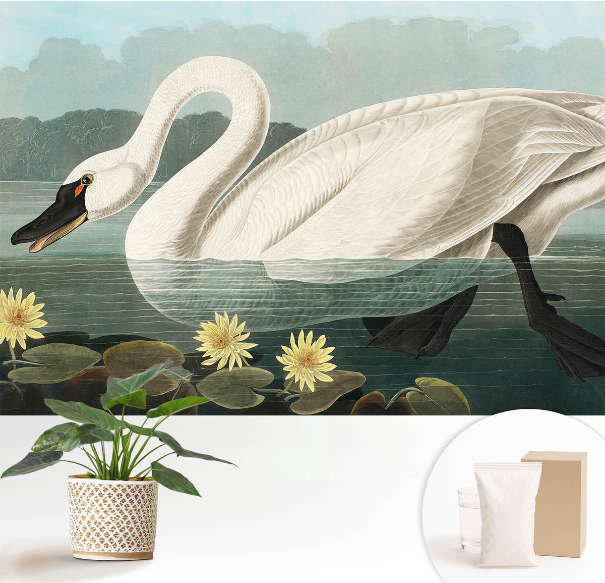 Wallfluent Fotobehang - Wit Vliesbehang - 152x104 cm - Zwaan En Waterlelies Fotobehang Vlies - Woonkamer behang Dieren - Muurschildering - Woonkamer behang