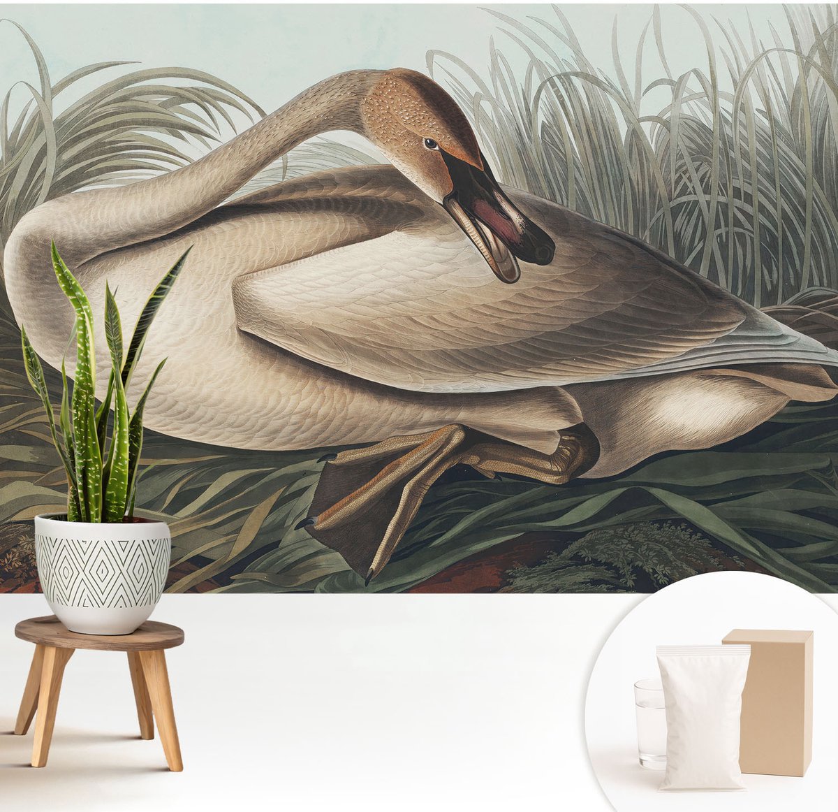 Wallfluent Fotobehang - Bruin Vliesbehang - 208x146 cm - Natuurlijke Vogel Fotobehang Vlies - Hal behang Dieren - Muurschildering - Hal behang
