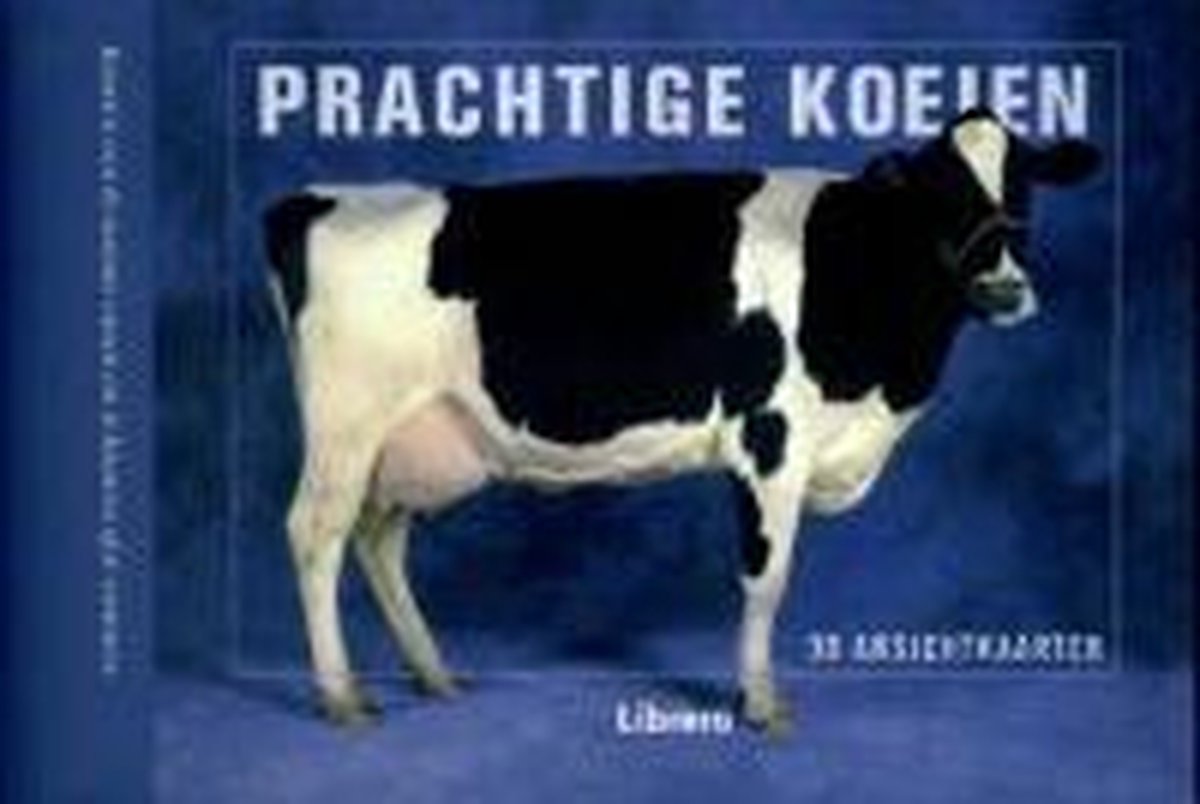Prachtige Koeien Postcardbook