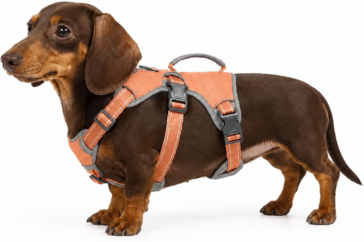 Hondenharnas – lekvrij – verstelbaar reflecterend vest met duurzame handgreep – wandelharnas voor grote en actieve honden (oranje, S)