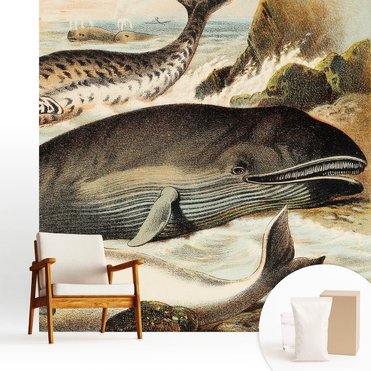 Wallfluent Fotobehang - Wit Vliesbehang - 250x250 cm - Zeereuzen Muurschildering - Gang behang Dieren - Fotobehang Vlies - Slaapkamer behang