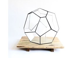 Geometrisch Terrarium - Cosmo - Vivarium - ↑ 31 x 29 x 29 cm (LxBxH) - Glas