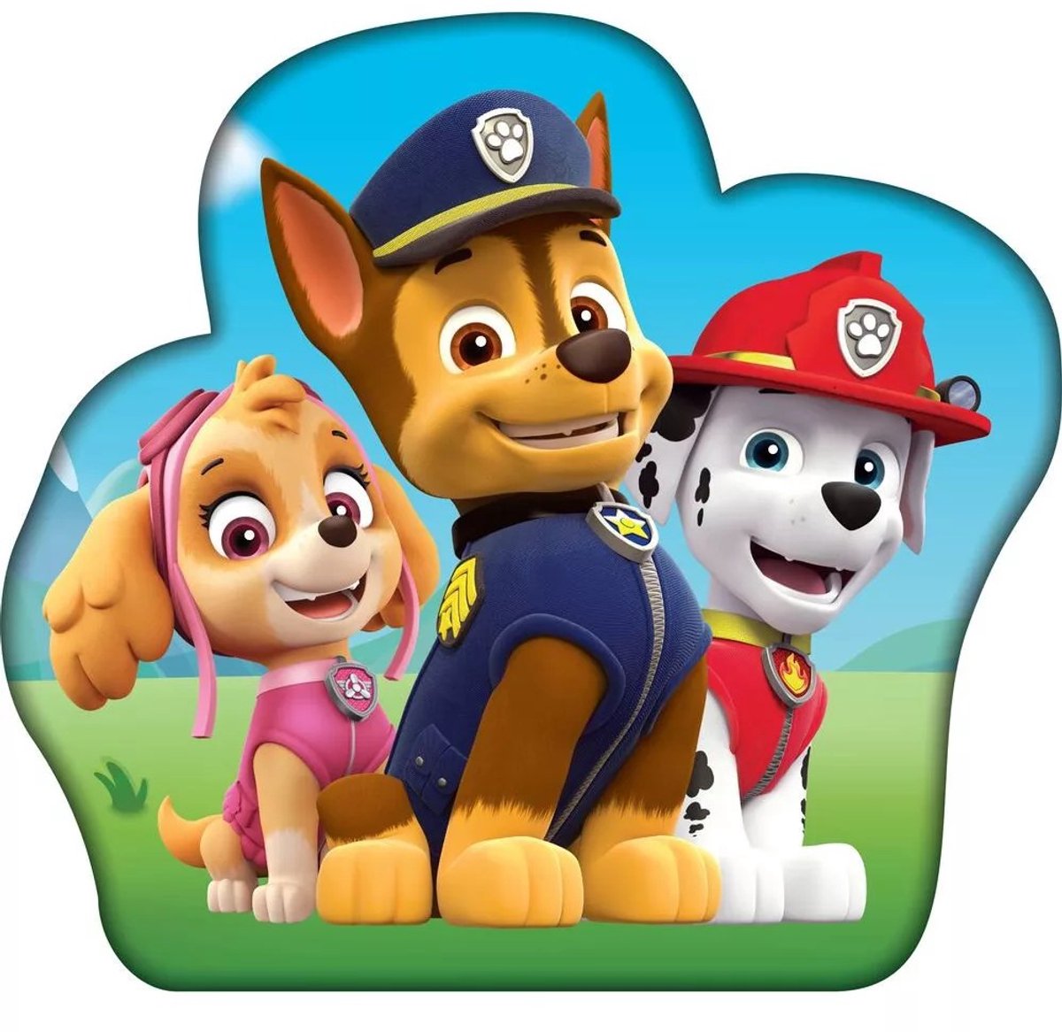 PAW Patrol sierkussen Troop 36 x 36 cm Multicolor