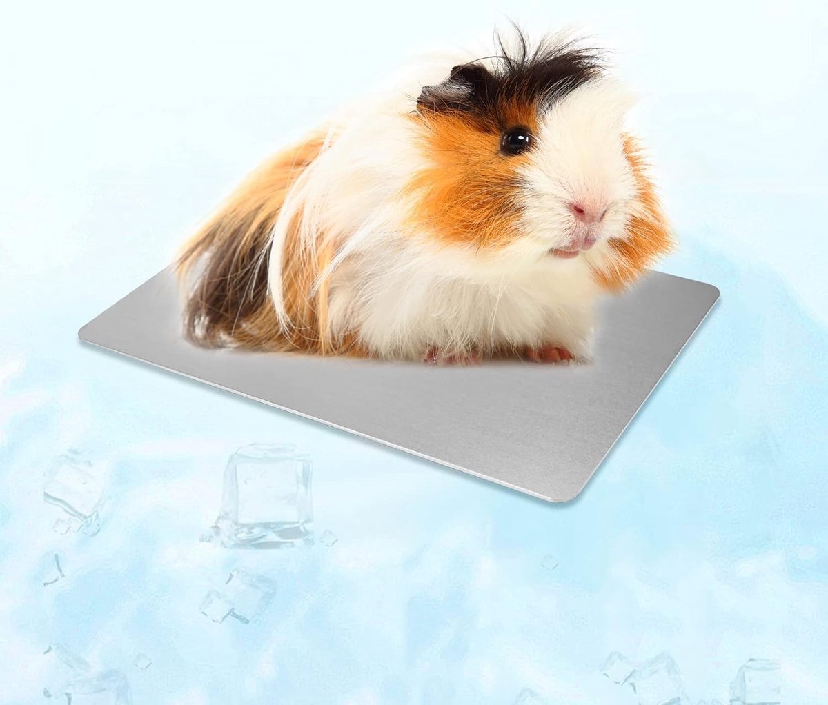 Koelmat voor Kleine Dieren - Ideaal voor Hamsters, Konijnen en Cavia's - Comfortabele Slaapmat (12 x 8 cm)