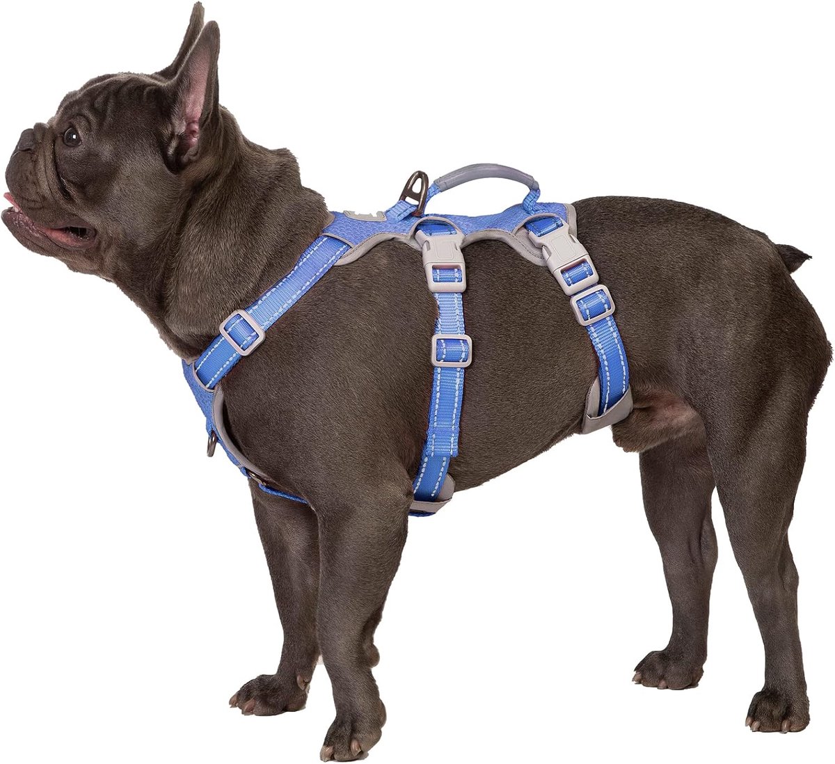 Escape Proof Hondentuig, Geen Slip Hondenharnas Escape Proof, Volledig Reflecterend Harnas met Gewatteerde Handgreep, Verstelbaar Vest voor Middelgrote Honden Wandelen, Running Gear (Paars,M)
