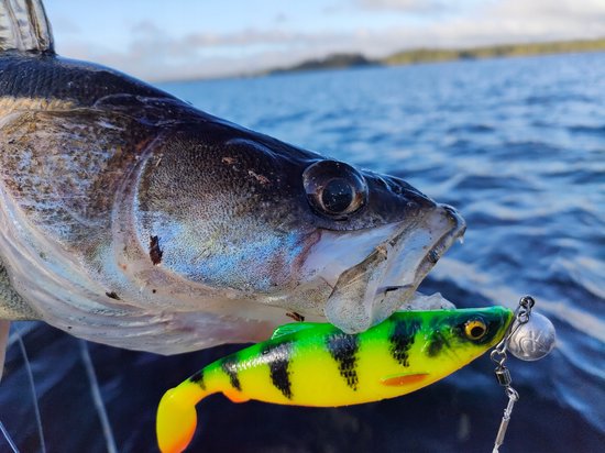 Savage Gear 4D Herring Shad 13cm Firetiger - Kunstaas voor Snoek & Baars — afbeelding 4