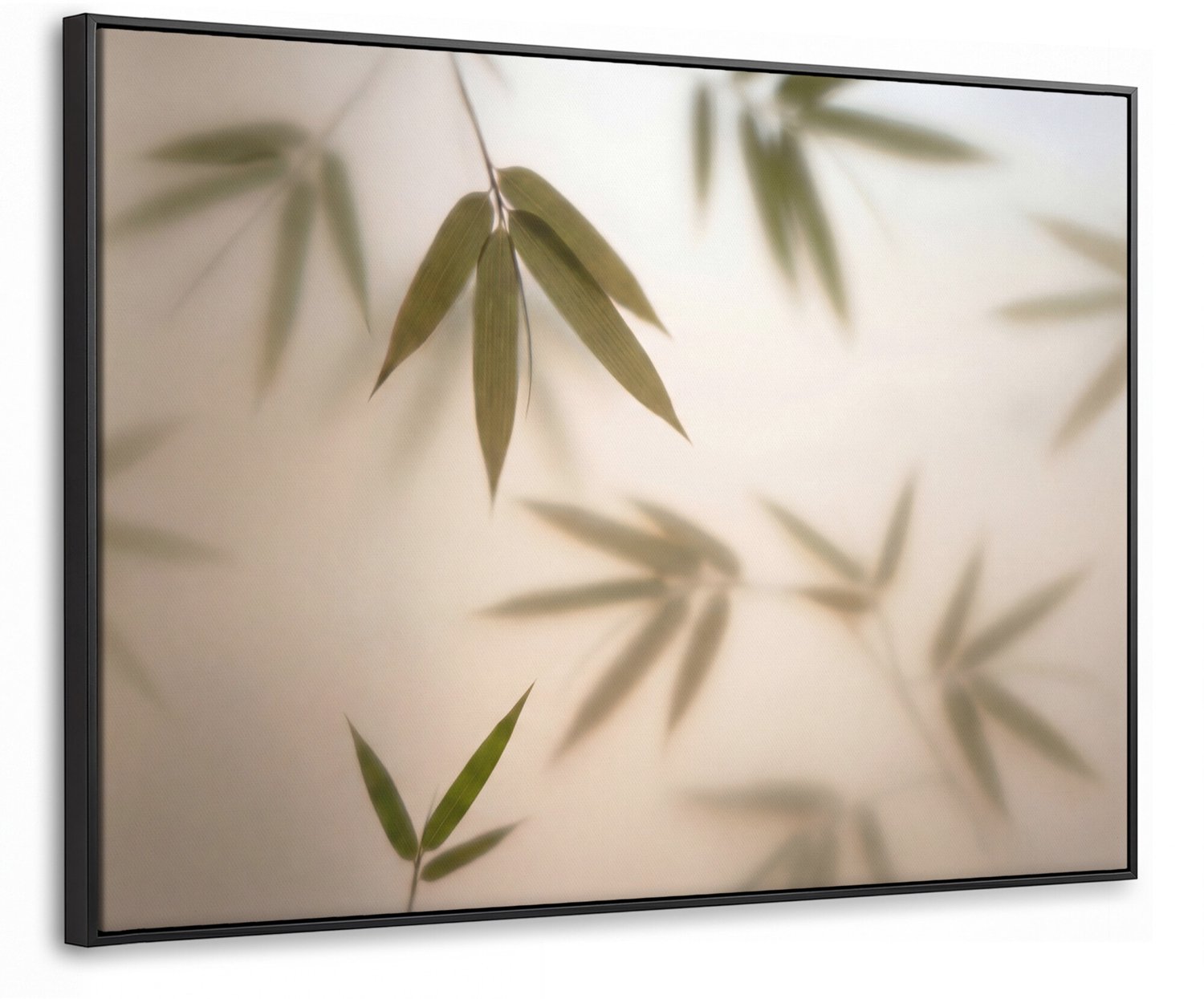 Canvas Schilderij met Baklijst - Planten - Bladeren - Natuur - Groen