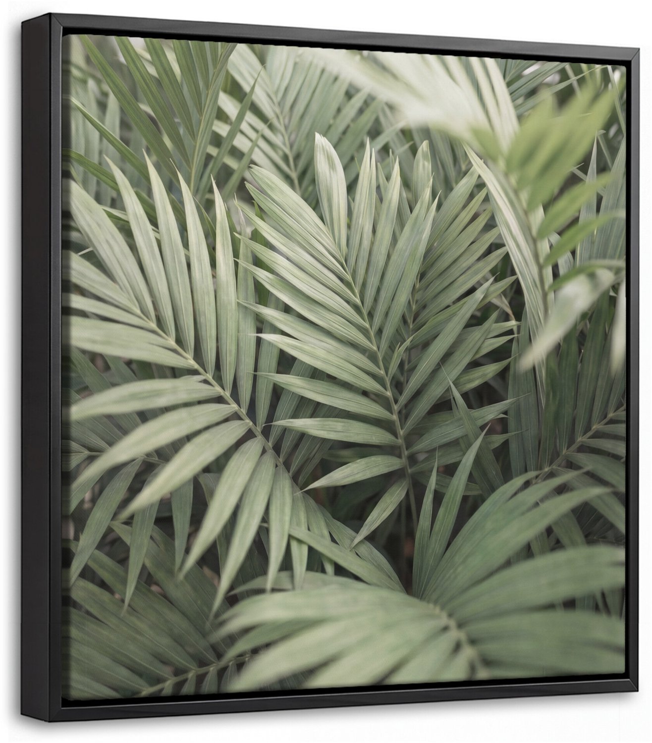 Canvas Schilderij met Baklijst - Plant - Palmbladeren - Natuur - Groen