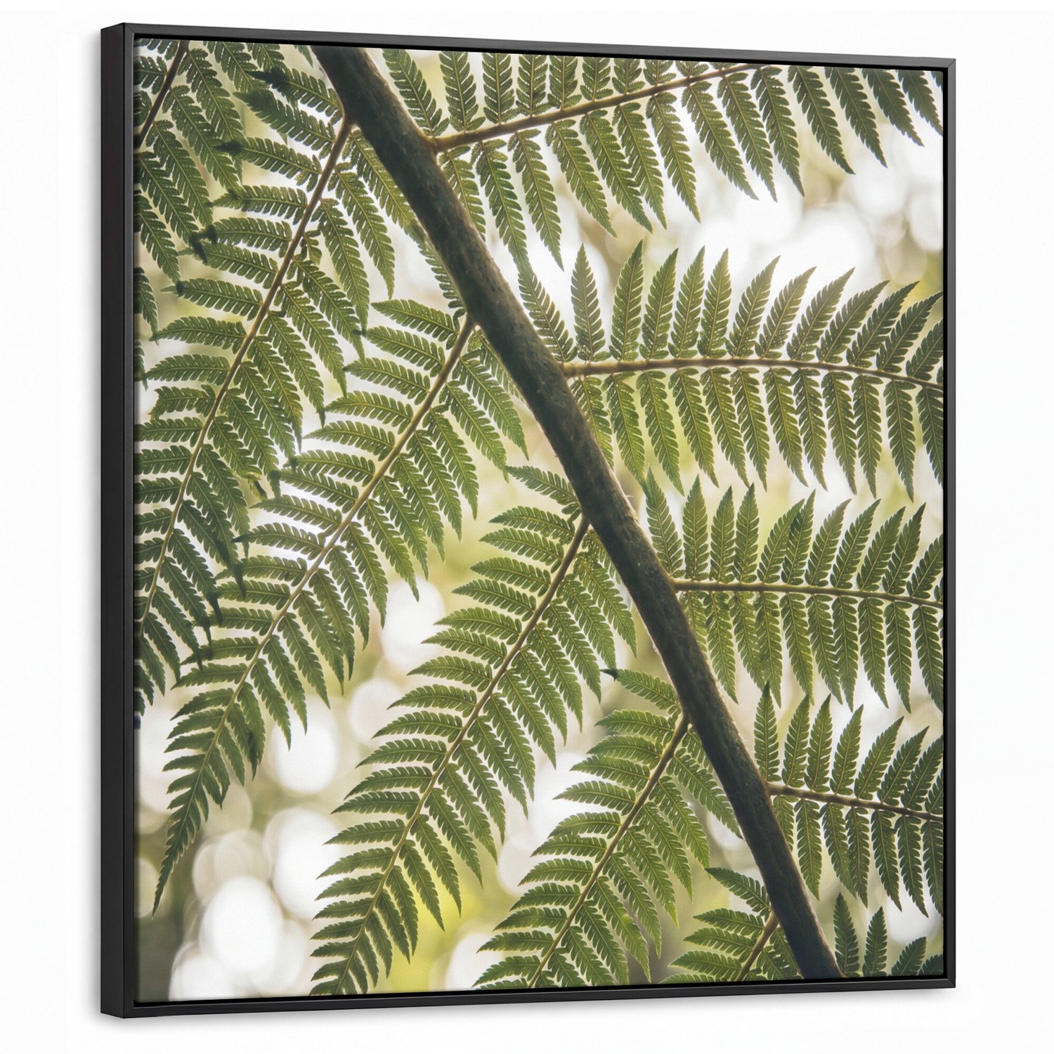 Canvas Schilderij met Baklijst - Plant - Blad - Natuur - Groen - Detail