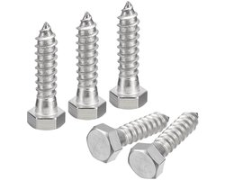 Set van 20 RVS Hex Hoofd Schroeven voor Hout