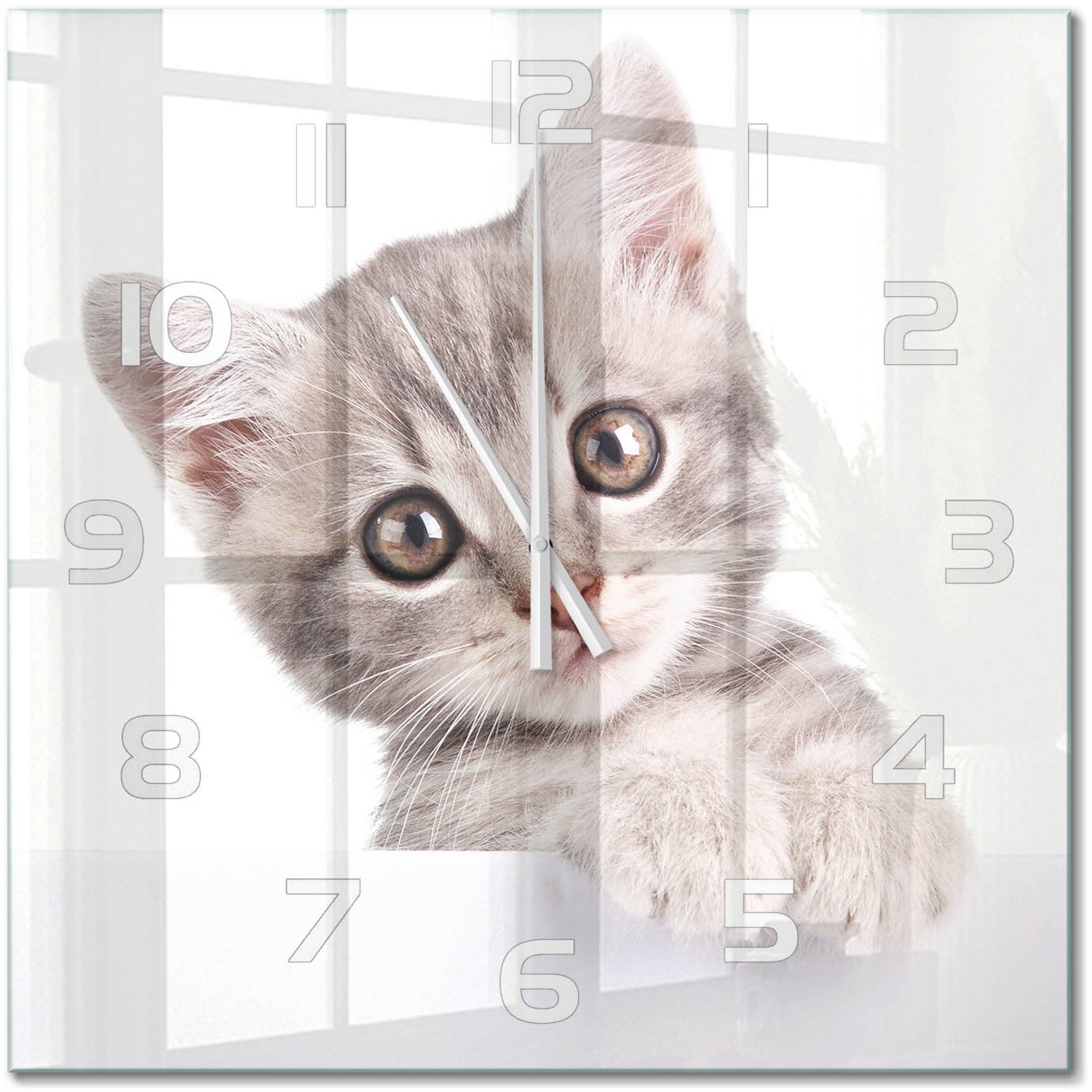 TULUP Wandklok - Grijze kat Moderne Wandklok Glas - 60x60 cm - Grijs Wandklok Glas Decoratie - Witte handen - Vierkante Klok - Glazen Wandklok Design - Klok Glas Met Opdruk