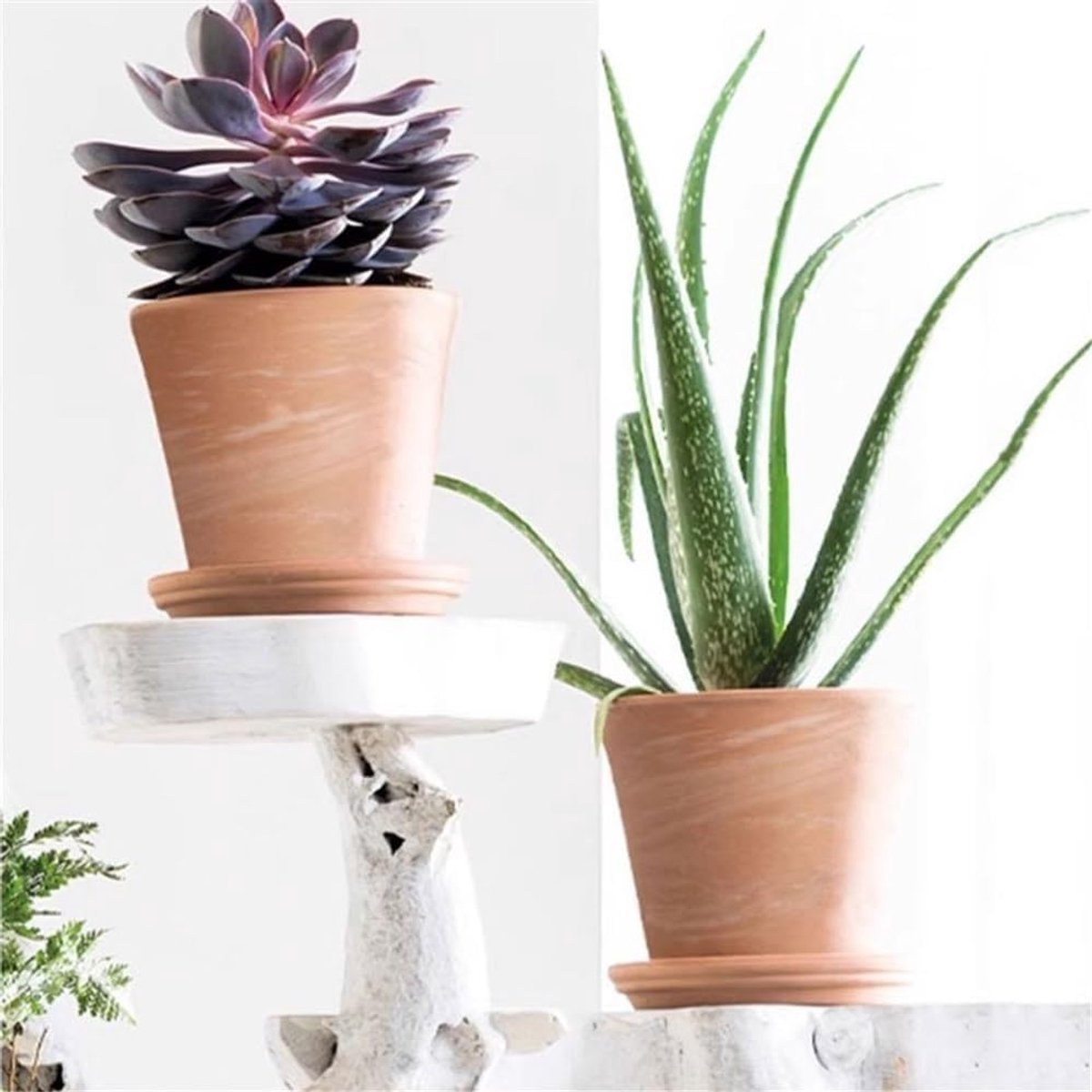 Schotels Kleine terracotta pot, plantenbak van klei, ideaal for binnen en buiten, 13 cm