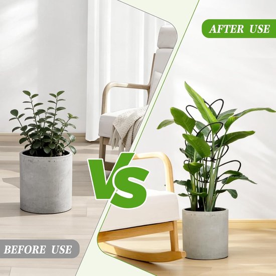 Set van 6 plantsteunen voor klimplanten zoals Monstera en Hoya in de tuin - ideaal voor ondersteuning en groei — afbeelding 2