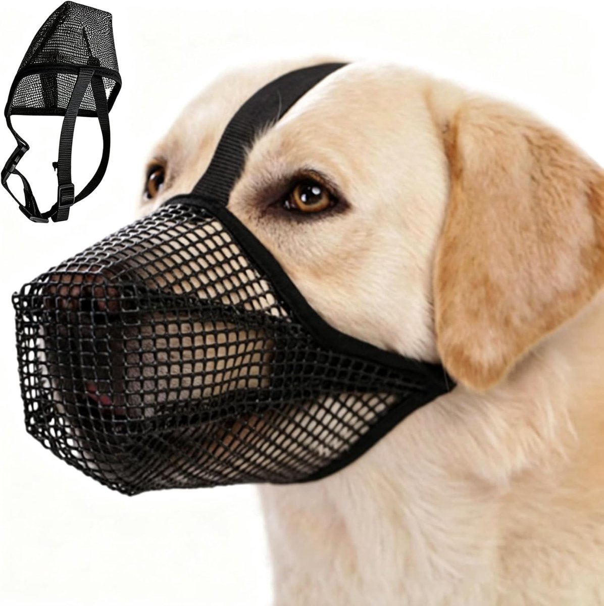 Muilkorf voor kleine honden Aylstrornoziqua gif aasbescherming hond, tegen voederzoeken, bijten