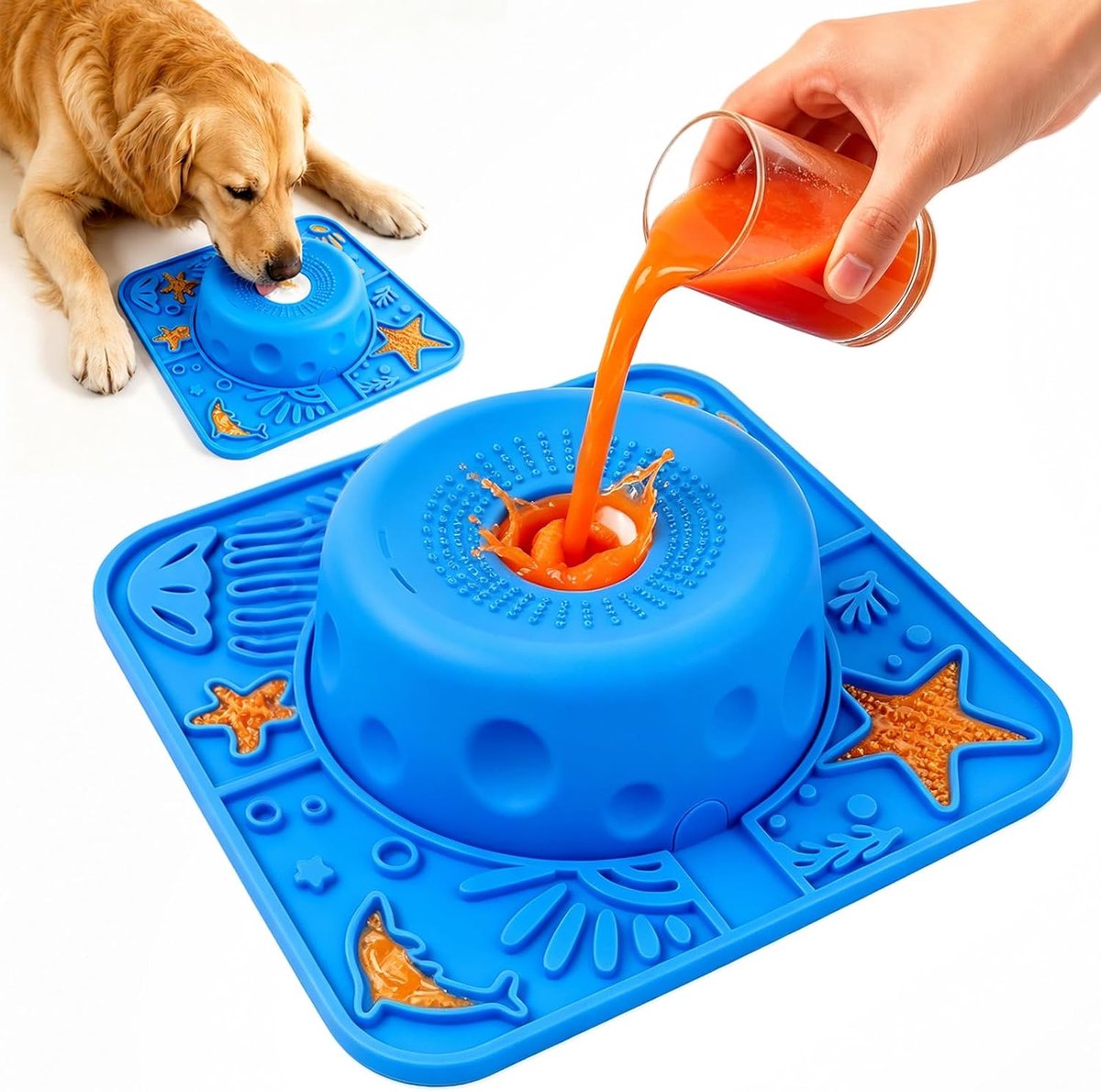 Hond, likbak hond met zuignap