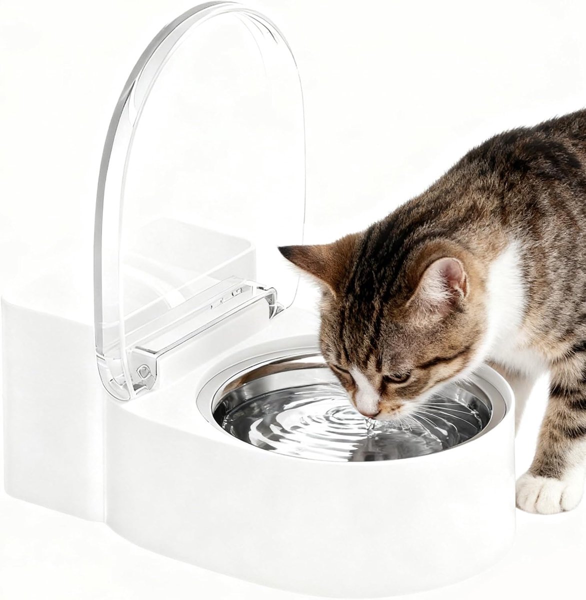 Waterbakken Voor Katten Toilet Vormige Grappige Kleine Waterbak