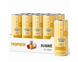 JusRé Seas the Day Kombucha, Gefermenteerde Thee in blik met Ananas en Kokos, 100% Natuurlijk Zonder Toegevoegde Suikers (12 x 25cl)