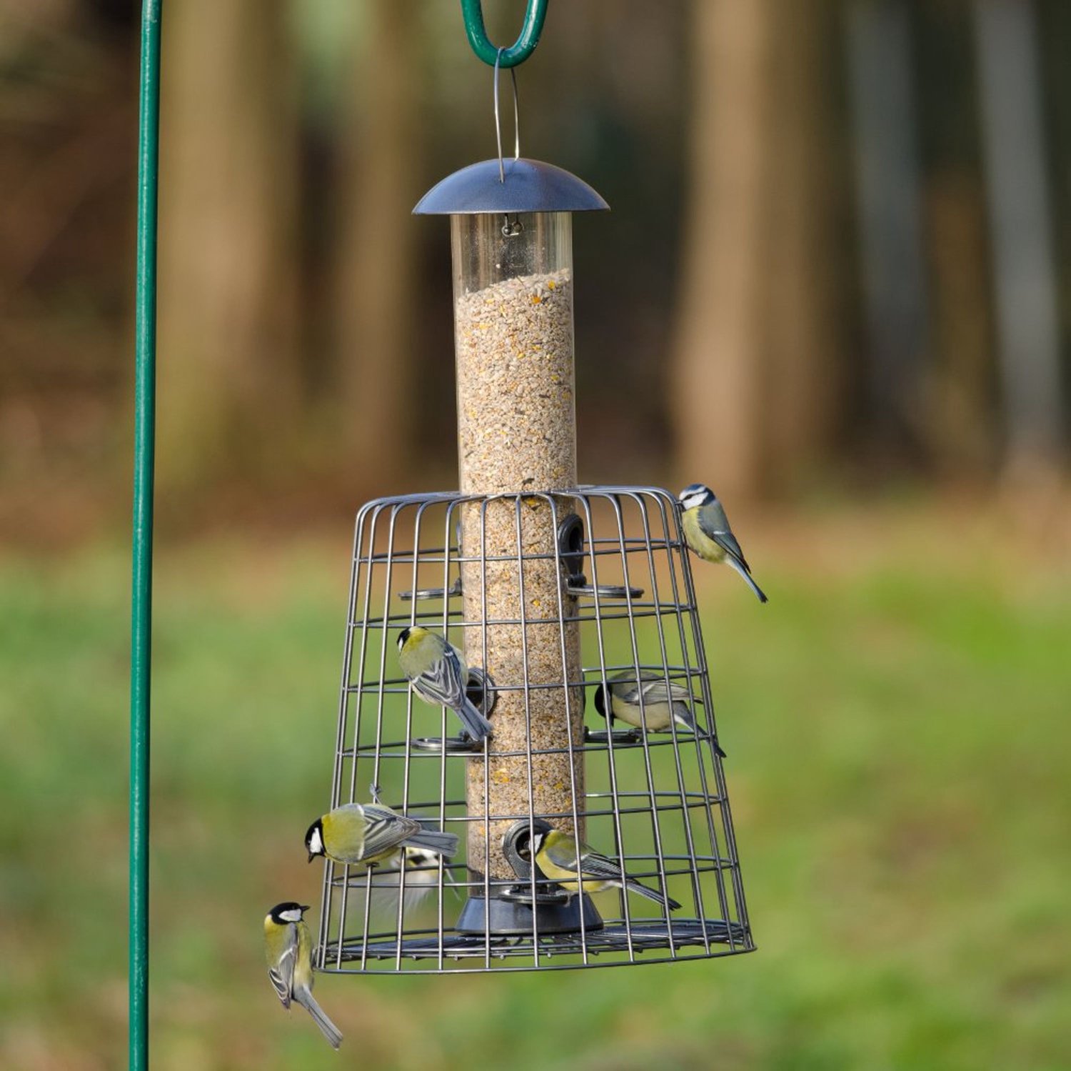CJ Wildlife Voedersilo met Beschermkooi voor Tuinvogels - Adventurer - Vogelvoedersilo voor Kleine Vogels - Hangend Vogelvoederhuisje van 55cm - Vogelvoer Silo - Grafietgrijs