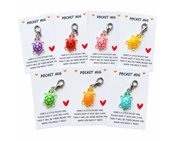 Pocket Hug - Friendship - Schildpad - Liefde - Geluk - Sleutelhanger - 1 stuk - In de mix