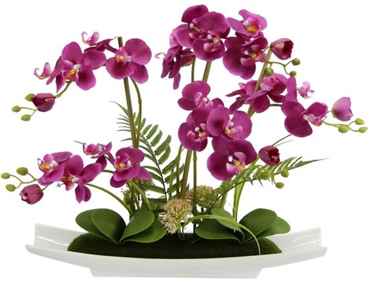 Kunstorchidee met schaal - Nep orchidee Kunstplant - Woonkamer decoratie - Bedrieglijk echte look