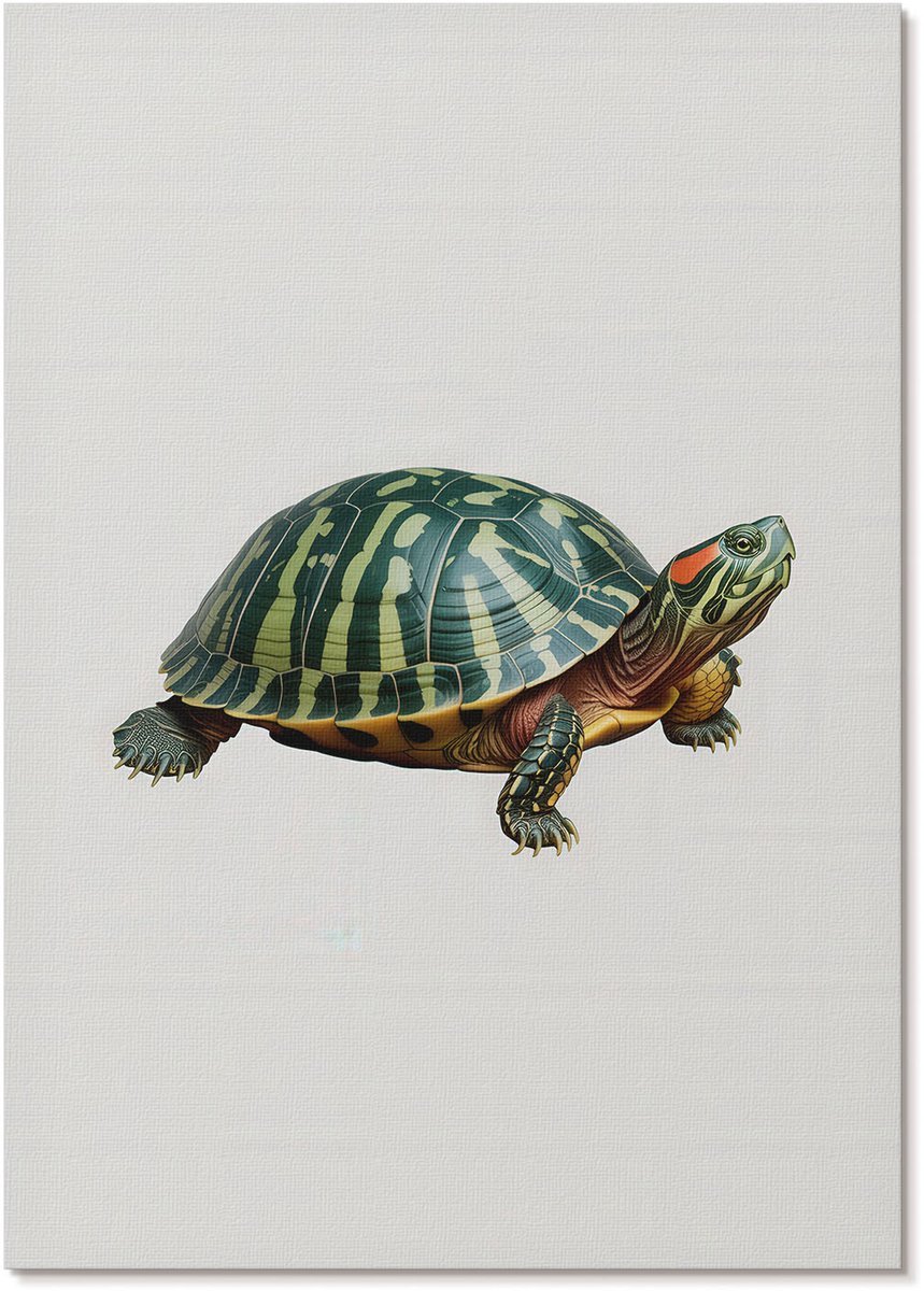 Tulup Polycanvas Wandposter - Schildpad, Illustratie - A4 - Groen Poster - Rechthoek - Canvasposter - Woonkamer, Slaapkamer, Kantoor - Klassiek