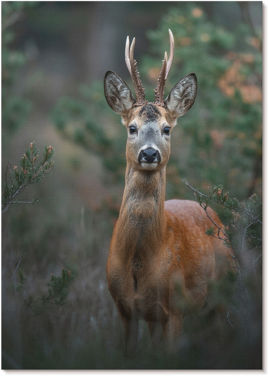 Tulup Polycanvas Wandposter - Herten In Het Bos, Fotografie - A4 - Groen Wanddecoratie - Rechthoek - Muurkunst - Woonkamer, Slaapkamer, Kantoor - Klassiek