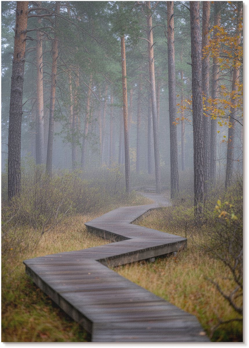 Tulup Canvas Poster Polycanvas - Bospad, Fotografie - A4 - Groen Poster - Rechthoek - Wandkunst - Woonkamer, Slaapkamer, Kantoor - Klassiek