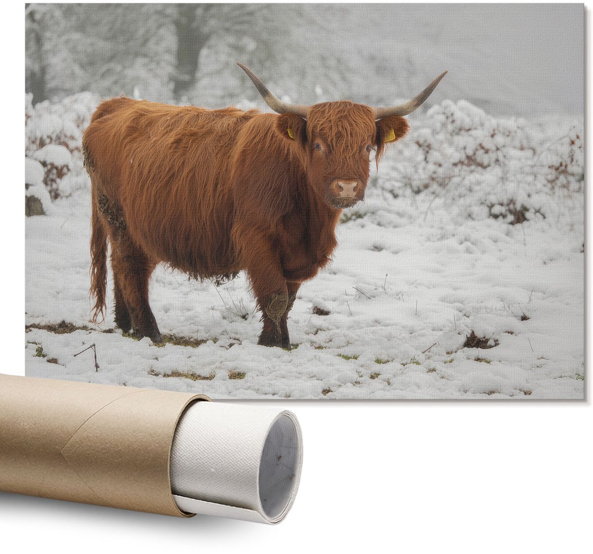 Coloray Polycanvas Poster - Een Mok Bier, Fotografie - A1 - Geel Motief - Rechthoek - Kunstposter - Slaapkamer - Modern