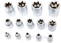 Een set van 14 zilverkleurige Torx-doppen, op een witte achtergrond.