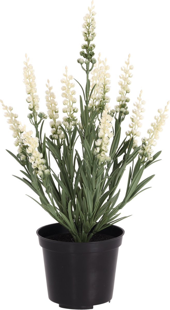 Kunstplant lavendel wit 30cm UV in kweekpot 10cm