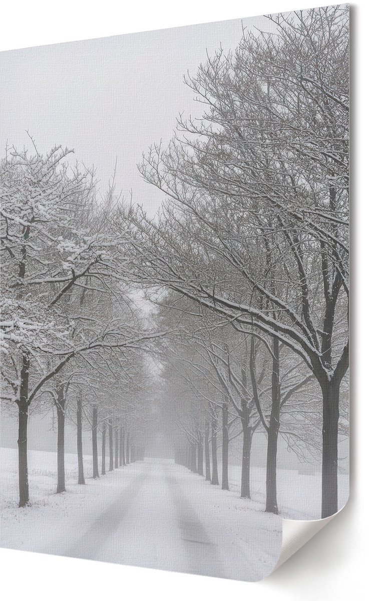 Coloray Polycanvas Poster - Besneeuwde Steeg, Fotografie - 594 x 840 - Wit Illustratie - Rechthoek - Muurdecoratie - Woonkamer - Klassiek