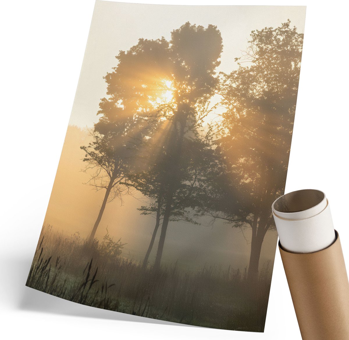 Coloray Polycanvas Wandposter - Bosochtend, Fotografie - 210 x 297 mm - Geel Wandposter - Rechthoek - Muurkunst - Woonkamer, Slaapkamer, Kantoor - Klassiek